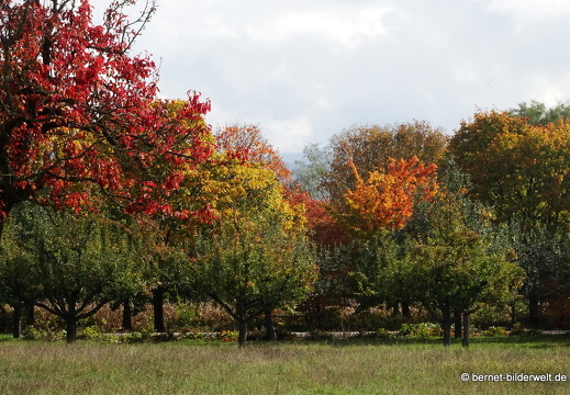 20-10-18-stoeckich-041