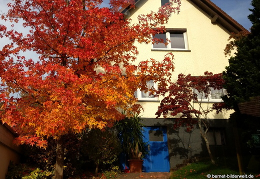 20-10-21-windeck-018