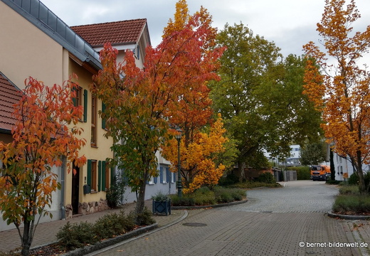 20-10-22-muehlenstrasse-002