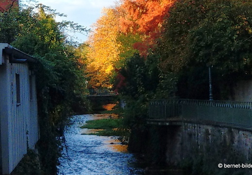 20-10-24-zentrum-buehlot am stadtgarten-001