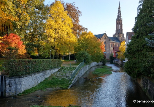 20-10-24-zentrum-buehlot am stadtgarten-003
