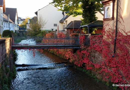 20-10-24-zentrum-buehlot-badischer hof-007