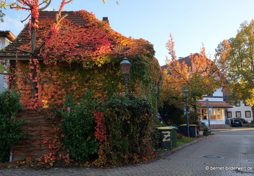 20-10-24-zentrum-johannespassage-006