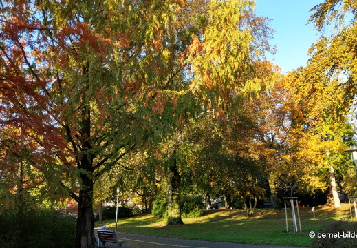 20-10-24-zentrum-stadtgarten-001