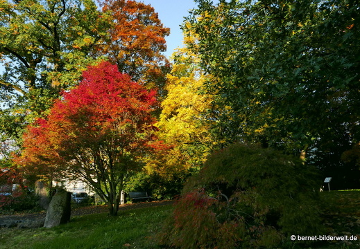 20-10-24-zentrum-stadtgarten-012