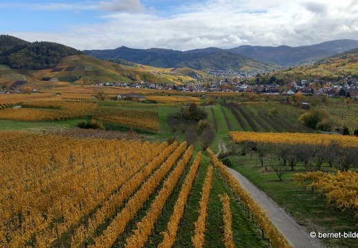 20-10-27-carl-netter-turm-weinberge-019