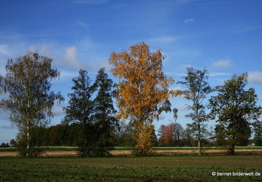 20-11-04-stoeckich-032