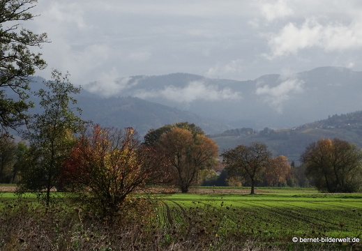 20-11-04-stoeckich-085