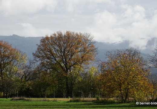 20-11-04-stoeckich-089