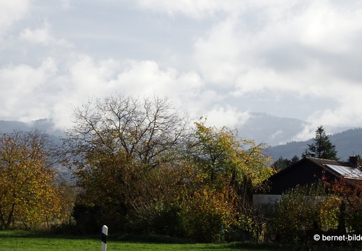 20-11-04-stoeckich-093