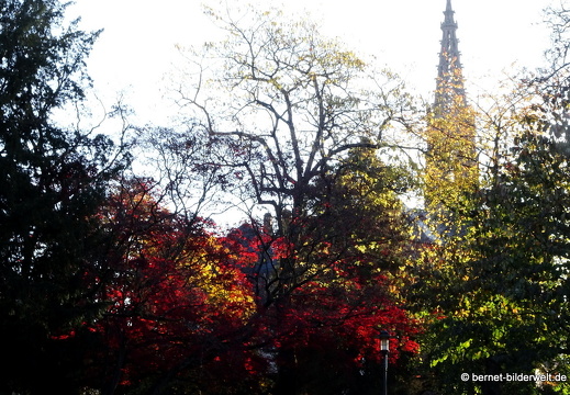 20-11-05-stadtgarten-012