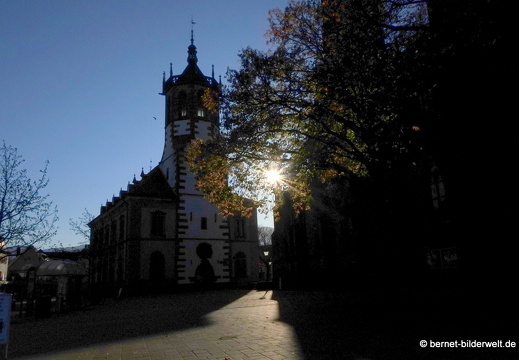 20-11-05-stadtgarten-039