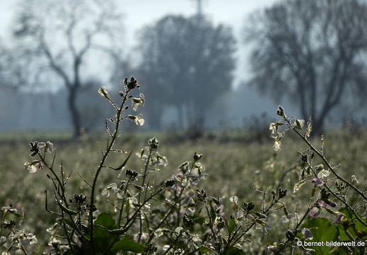 20-11-08-stoeckich-031