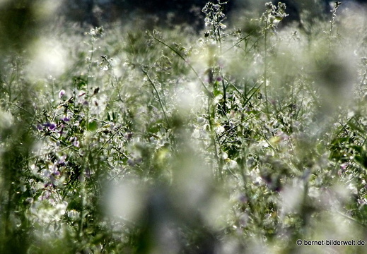 20-11-08-stoeckich-034