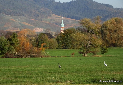 20-11-09-frieden-006