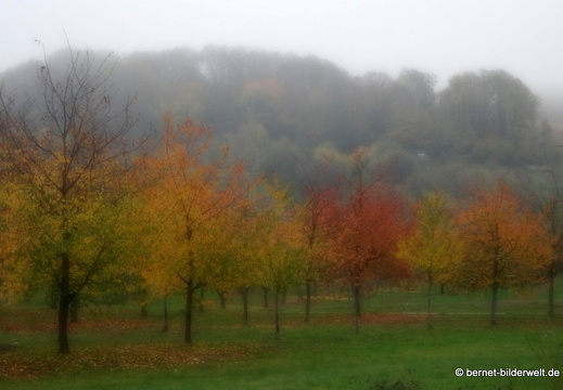 20-11-11-frieden-019