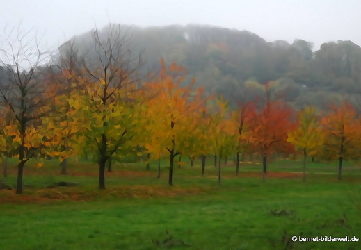 20-11-11-frieden-023