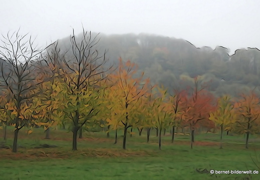 20-11-11-frieden-024