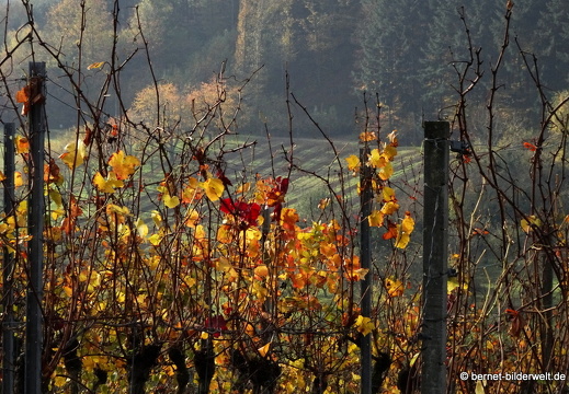 20-11-12-kappelwindeckstrasse-033