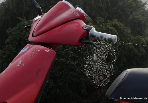 20-12-18-weinberge -066