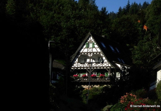 20-09-13-buehlertal-008