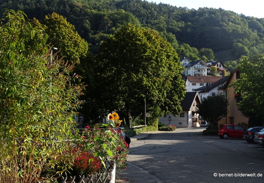 20-09-13-buehlertal-009