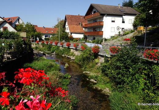 20-09-13-buehlertal-048
