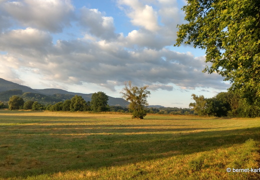 22-06-24-alteb3-.-116