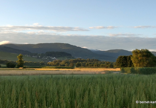 22-06-28-alteb3- fruehnebel-001