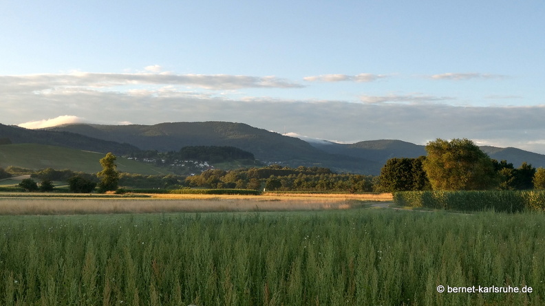 22-06-28-alteb3- fruehnebel-001.JPG