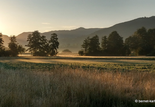 22-06-28-alteb3- fruehnebel-