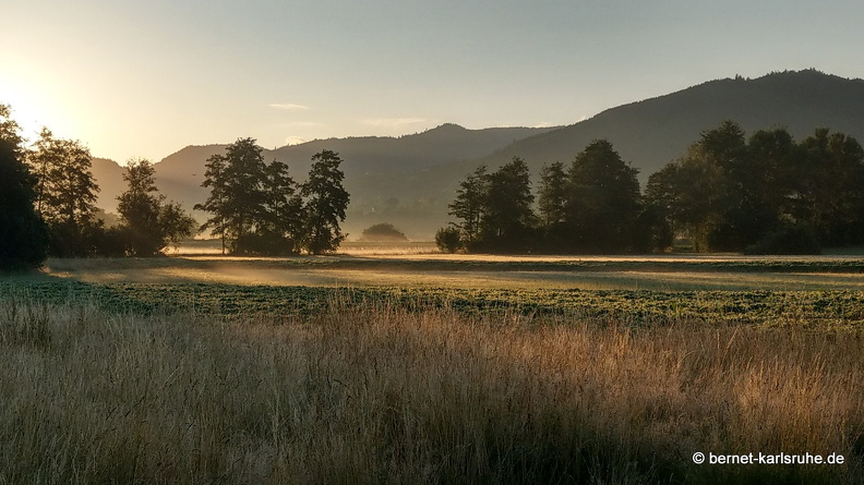 22-06-28-alteb3- fruehnebel-.JPG