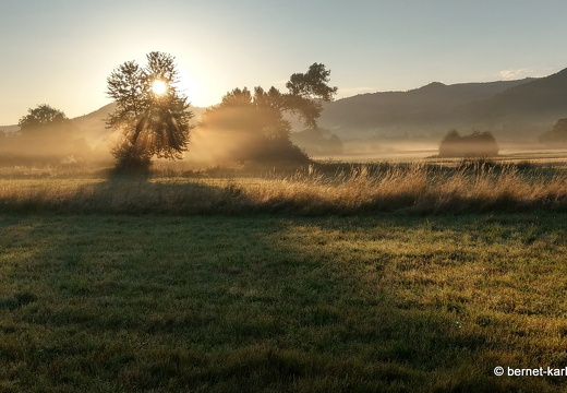 22-06-28-alteb3- fruehnebel-002
