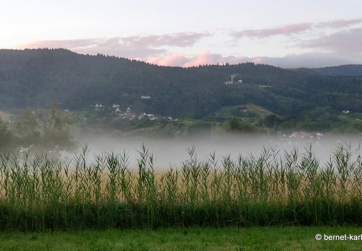 22-06-28-alteb3-fruehnebel-002