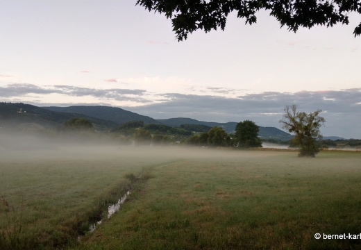 22-06-28-alteb3-fruehnebel-001