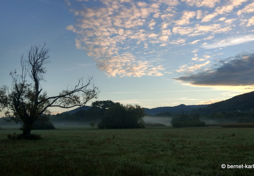 22-09-26-alteb3-morgenstimmung-nebel-002
