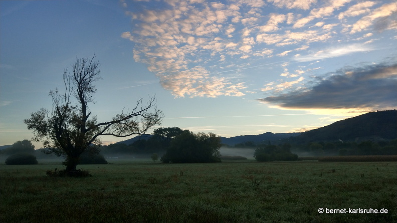 22-09-26-alteb3-morgenstimmung-nebel-002.JPG