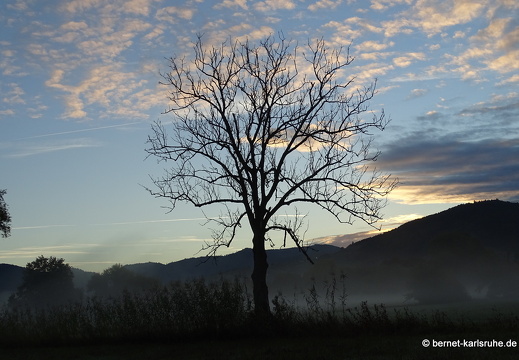 22-09-26-alteb3-nebelstimmung-003