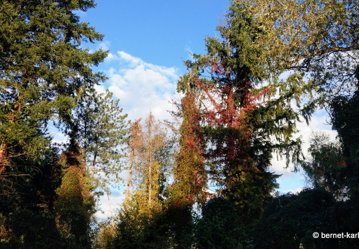 22-09-30-alteb3-wiesenweg-herbstfarben-005