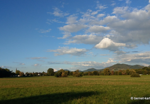 22-09-30-alteb3-wiesenweg-herbstfarben-009