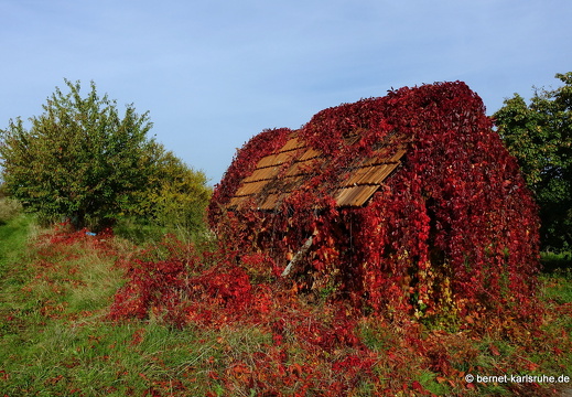 22-10-07-weinberge-weinberghuette-008