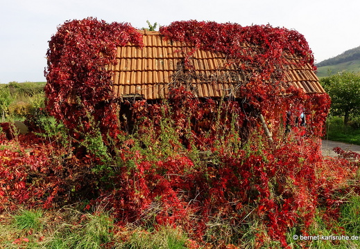 22-10-07-weinberge-weinberghuette-012