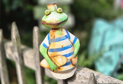 25-07-06-ortenberg-008