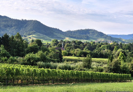 25-07-20-lindenhoehe-002