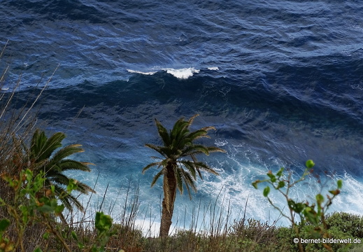 16-02-27-agulo-037