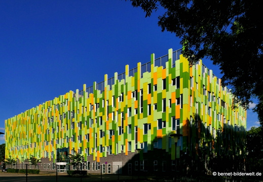 16-07-03-nieuw welgelegen-009 Linienkorrektur