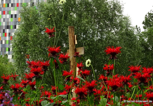 16-07-04-botanische-tuinen-051