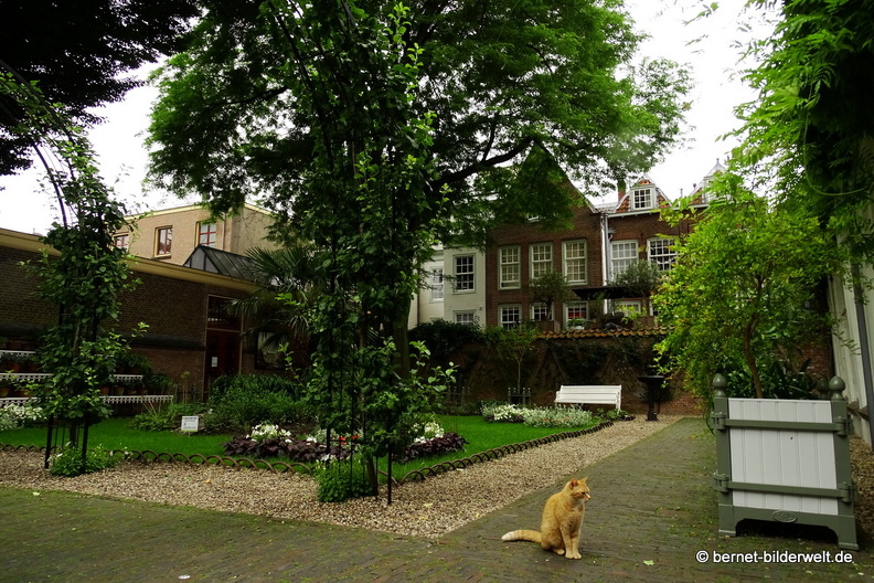 16-07-05-floras hof-001.JPG