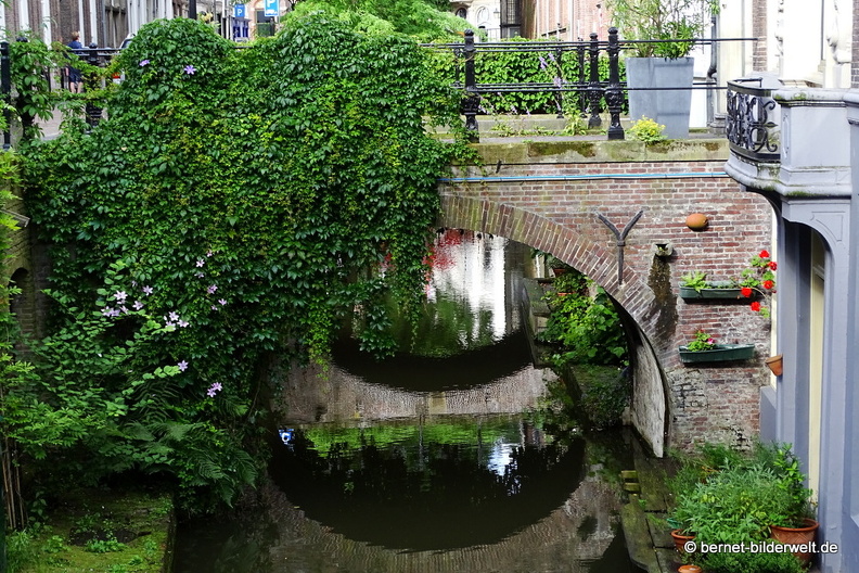 16-07-06-an der drift-002.JPG