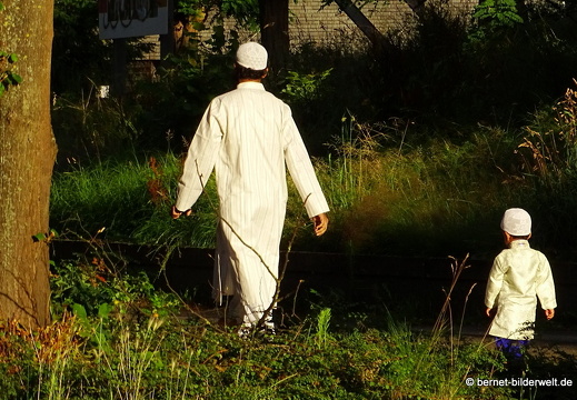 16-07-06-van heuven goedhartlaan-002